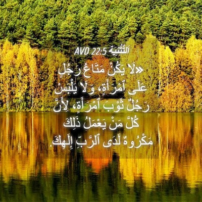 Picture 04 - اَلتَّثْنِيَة 22:5 AVD - «لَا يَكُنْ مَتَاعُ رَجُلٍ - Bible Verse Picture