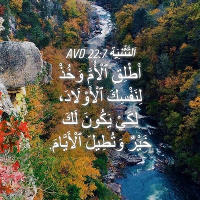 Picture 04 - اَلتَّثْنِيَة 22:7 AVD - أَطْلِقِ ٱلْأُمَّ وَخُذْ - Bible Verse Picture