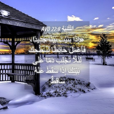 Picture 04 - اَلتَّثْنِيَة 22:8 AVD - «إِذَا بَنَيْتَ بَيْتًا - Bible Verse Picture