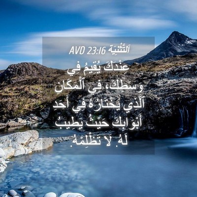 Picture 04 - اَلتَّثْنِيَة 23:16 AVD - عِنْدَكَ يُقِيمُ فِي - Bible Verse Picture