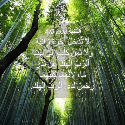 Picture 04 - اَلتَّثْنِيَة 23:18 AVD - لَا تُدْخِلْ أُجْرَةَ - Bible Verse Picture