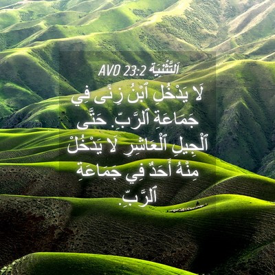 Picture 04 - اَلتَّثْنِيَة 23:2 AVD - لَا يَدْخُلِ ٱبْنُ زِنًى - Bible Verse Picture