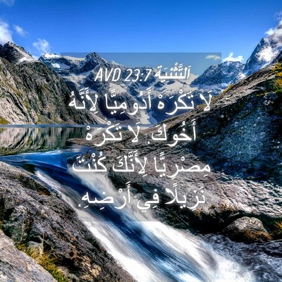 Picture 04 - اَلتَّثْنِيَة 23:7 AVD - لَا تَكْرَهْ أَدُومِيًّا - Bible Verse Picture