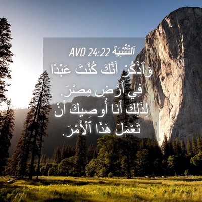 Picture 04 - اَلتَّثْنِيَة 24:22 AVD - وَٱذْكُرْ أَنَّكَ كُنْتَ - Bible Verse Picture