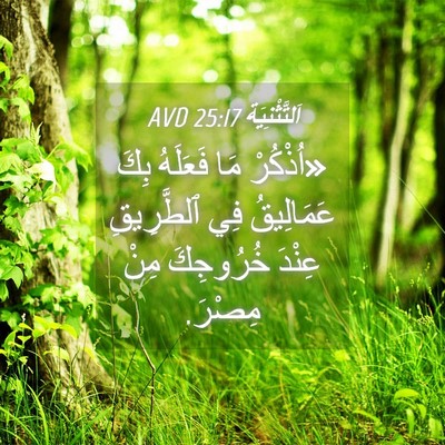Picture 04 - اَلتَّثْنِيَة 25:17 AVD - «اُذْكُرْ مَا فَعَلَهُ - Bible Verse Picture