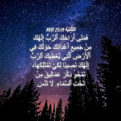 Picture 04 - اَلتَّثْنِيَة 25:19 AVD - فَمَتَى أَرَاحَكَ - Bible Verse Picture