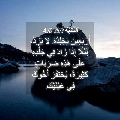 Picture 04 - اَلتَّثْنِيَة 25:3 AVD - أَرْبَعِينَ يَجْلِدُهُ. - Bible Verse Picture