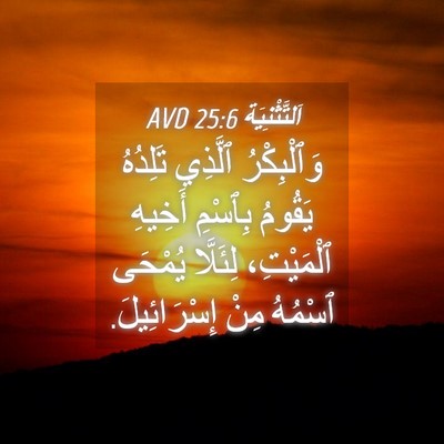 Picture 04 - اَلتَّثْنِيَة 25:6 AVD - وَٱلْبِكْرُ ٱلَّذِي - Bible Verse Picture