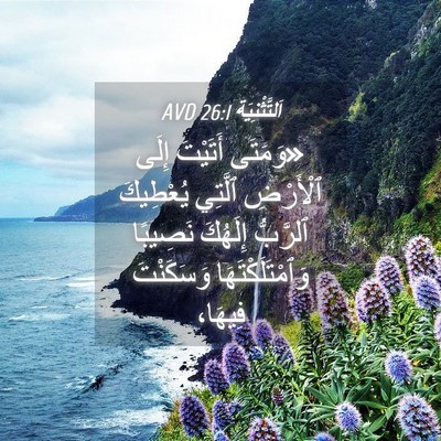 Picture 04 - اَلتَّثْنِيَة 26:1 AVD - «وَمَتَى أَتَيْتَ إِلَى - Bible Verse Picture