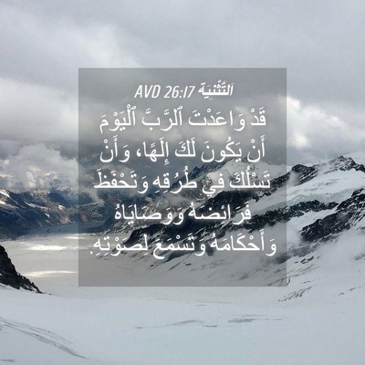 Picture 04 - اَلتَّثْنِيَة 26:17 AVD - قَدْ وَاعَدْتَ ٱلرَّبَّ - Bible Verse Picture