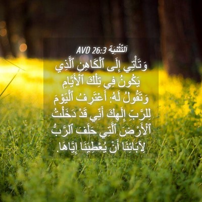 Picture 04 - اَلتَّثْنِيَة 26:3 AVD - وَتَأْتِي إِلَى - Bible Verse Picture