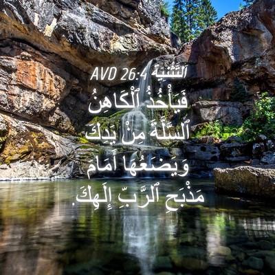 Picture 04 - اَلتَّثْنِيَة 26:4 AVD - فَيَأْخُذُ ٱلْكَاهِنُ - Bible Verse Picture