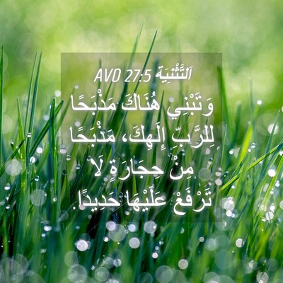 Picture 04 - اَلتَّثْنِيَة 27:5 AVD - وَتَبْنِي هُنَاكَ - Bible Verse Picture