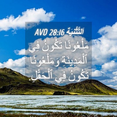 Picture 04 - اَلتَّثْنِيَة 28:16 AVD - مَلْعُونًا تَكُونُ فِي - Bible Verse Picture