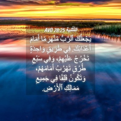 Picture 04 - اَلتَّثْنِيَة 28:25 AVD - يَجْعَلُكَ ٱلرَّبُّ - Bible Verse Picture