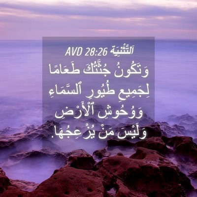 Picture 04 - اَلتَّثْنِيَة 28:26 AVD - وَتَكُونُ جُثَّتُكَ - Bible Verse Picture