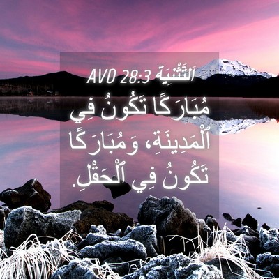 Picture 04 - اَلتَّثْنِيَة 28:3 AVD - مُبَارَكًا تَكُونُ فِي - Bible Verse Picture