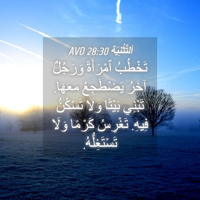Picture 04 - اَلتَّثْنِيَة 28:30 AVD - تَخْطُبُ ٱمْرَأَةً - Bible Verse Picture