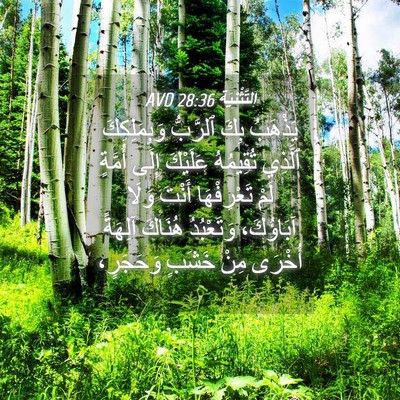 Picture 04 - اَلتَّثْنِيَة 28:36 AVD - يَذْهَبُ بِكَ ٱلرَّبُّ - Bible Verse Picture