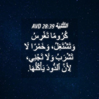 Picture 04 - اَلتَّثْنِيَة 28:39 AVD - كُرُومًا تَغْرِسُ - Bible Verse Picture