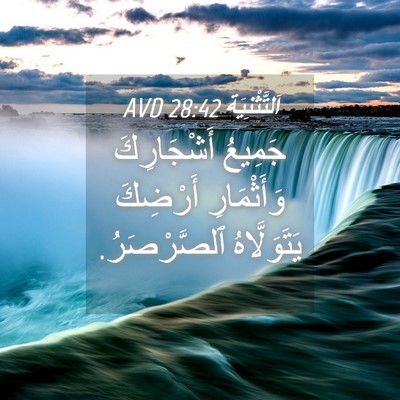 Picture 04 - اَلتَّثْنِيَة 28:42 AVD - جَمِيعُ أَشْجَارِكَ - Bible Verse Picture