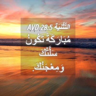 Picture 04 - اَلتَّثْنِيَة 28:5 AVD - مُبَارَكَةً تَكُونُ - Bible Verse Picture