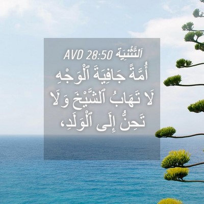 Picture 04 - اَلتَّثْنِيَة 28:50 AVD - أُمَّةً جَافِيَةَ - Bible Verse Picture