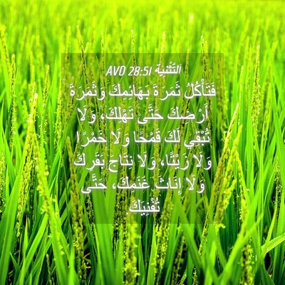 Picture 04 - اَلتَّثْنِيَة 28:51 AVD - فَتَأْكُلُ ثَمَرَةَ - Bible Verse Picture