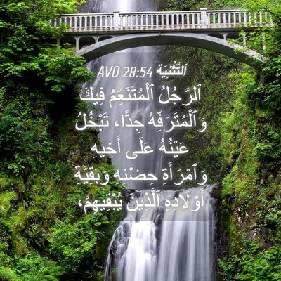 Picture 04 - اَلتَّثْنِيَة 28:54 AVD - ٱلرَّجُلُ ٱلْمُتَنَعِّمُ - Bible Verse Picture