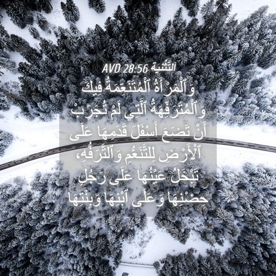 Picture 04 - اَلتَّثْنِيَة 28:56 AVD - وَٱلْمَرْأَةُ - Bible Verse Picture