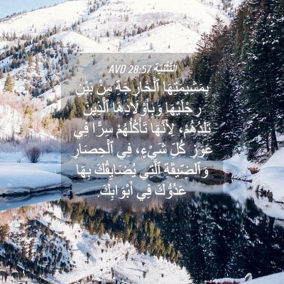 Picture 04 - اَلتَّثْنِيَة 28:57 AVD - بِمَشِيمَتِهَا - Bible Verse Picture