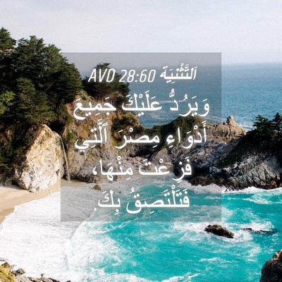 Picture 04 - اَلتَّثْنِيَة 28:60 AVD - وَيَرُدُّ عَلَيْكَ - Bible Verse Picture