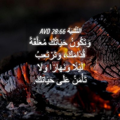 Picture 04 - اَلتَّثْنِيَة 28:66 AVD - وَتَكُونُ حَيَاتُكَ - Bible Verse Picture