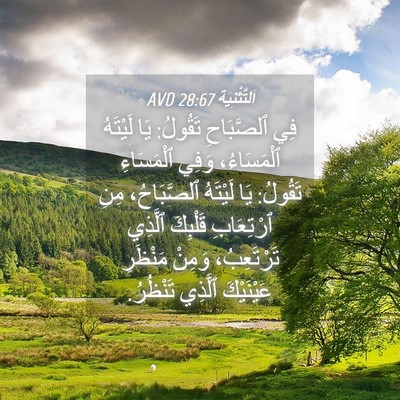 Picture 04 - اَلتَّثْنِيَة 28:67 AVD - فِي ٱلصَّبَاحِ تَقُولُ: - Bible Verse Picture