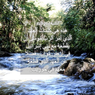 Picture 04 - اَلتَّثْنِيَة 29:1 AVD - هَذِهِ هِيَ كَلِمَاتُ - Bible Verse Picture