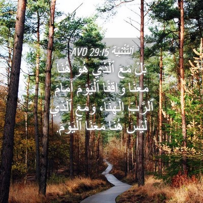 Picture 04 - اَلتَّثْنِيَة 29:15 AVD - بَلْ مَعَ ٱلَّذِي هُوَ - Bible Verse Picture