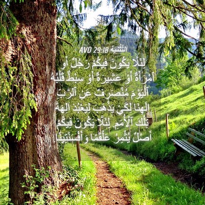 Picture 04 - اَلتَّثْنِيَة 29:18 AVD - لِئَلَّا يَكُونَ فِيكُمْ - Bible Verse Picture