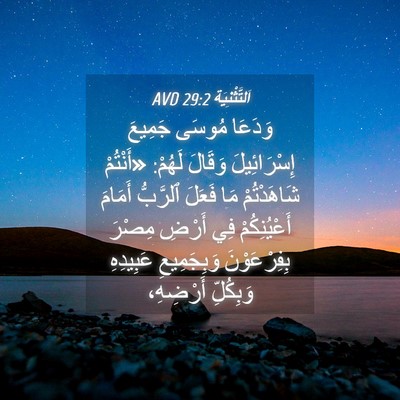 Picture 04 - اَلتَّثْنِيَة 29:2 AVD - وَدَعَا مُوسَى جَمِيعَ - Bible Verse Picture