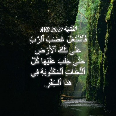 Picture 04 - اَلتَّثْنِيَة 29:27 AVD - فَٱشْتَعَلَ غَضَبُ - Bible Verse Picture