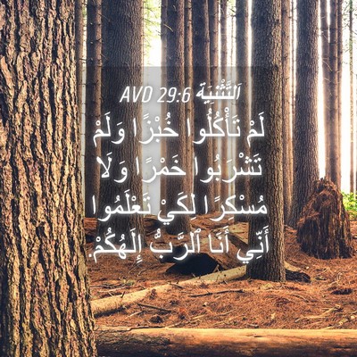 Picture 04 - اَلتَّثْنِيَة 29:6 AVD - لَمْ تَأْكُلُوا خُبْزًا - Bible Verse Picture