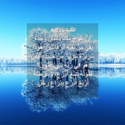 Picture 04 - اَلتَّثْنِيَة 3:11 AVD - إِنَّ عُوجَ مَلِكَ - Bible Verse Picture