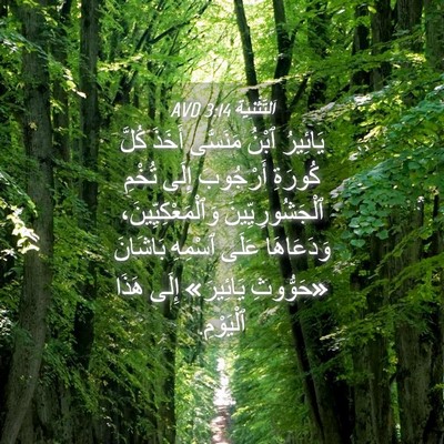 Picture 04 - اَلتَّثْنِيَة 3:14 AVD - يَائِيرُ ٱبْنُ مَنَسَّى - Bible Verse Picture