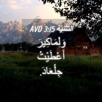 Picture 04 - اَلتَّثْنِيَة 3:15 AVD - وَلِمَاكِيرَ أَعْطَيْتُ - Bible Verse Picture