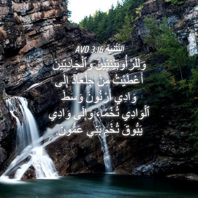 Picture 04 - اَلتَّثْنِيَة 3:16 AVD - وَلِلرَّأُوبَيْنِيِّينَ - Bible Verse Picture