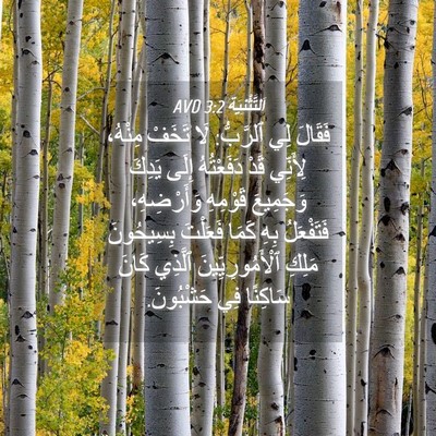 Picture 04 - اَلتَّثْنِيَة 3:2 AVD - فَقَالَ لِي ٱلرَّبُّ: لَا - Bible Verse Picture