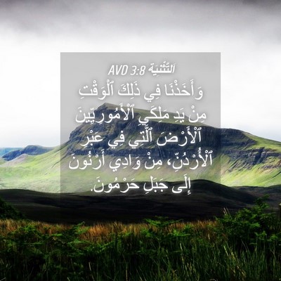 Picture 04 - اَلتَّثْنِيَة 3:8 AVD - وَأَخَذْنَا فِي ذَلِكَ - Bible Verse Picture