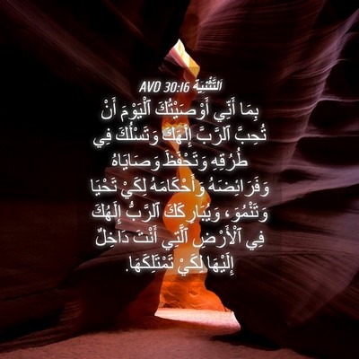 Picture 04 - اَلتَّثْنِيَة 30:16 AVD - بِمَا أَنِّي أَوْصَيْتُكَ - Bible Verse Picture