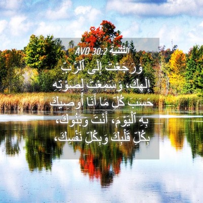 Picture 04 - اَلتَّثْنِيَة 30:2 AVD - وَرَجَعْتَ إِلَى ٱلرَّبِّ - Bible Verse Picture