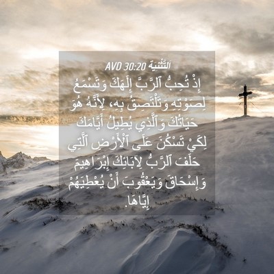 Picture 04 - اَلتَّثْنِيَة 30:20 AVD - إِذْ تُحِبُّ ٱلرَّبَّ - Bible Verse Picture