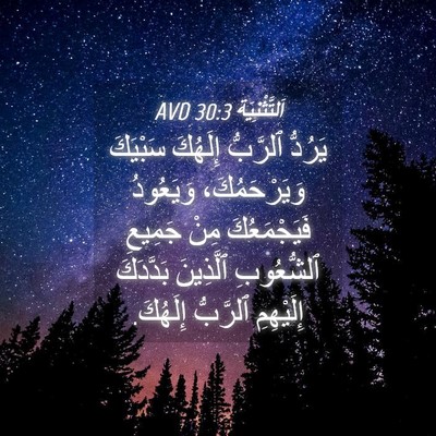 Picture 04 - اَلتَّثْنِيَة 30:3 AVD - يَرُدُّ ٱلرَّبُّ إِلَهُكَ - Bible Verse Picture